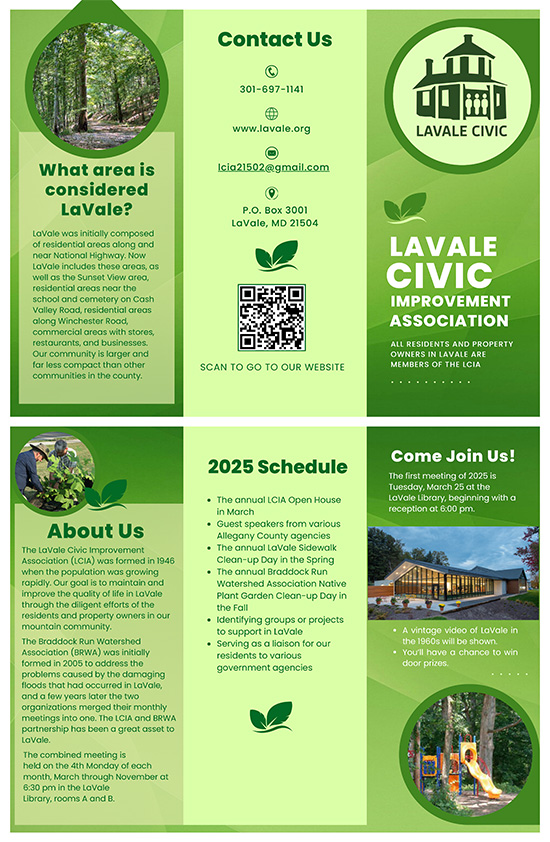 2025 About the LCIA Brochure